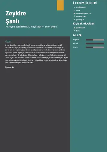 Hasta ve Yaşlı Bakım Elemanı Cv Örnekleri cv indir